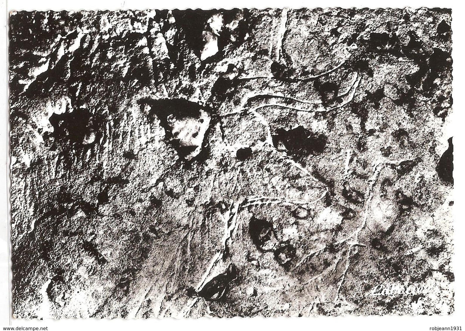 Le Bugue Sur Vezere (24) Caverne Ornee De Bara Baha - Gravure Prehistorique - Autres & Non Classés