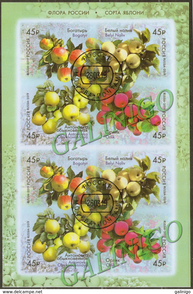 2019-2456-2459 M/S Russia  FAUNA: FRUITS: Strains Of Apple Trees  Mi 2673-2676 Used CTO - Used Stamps
