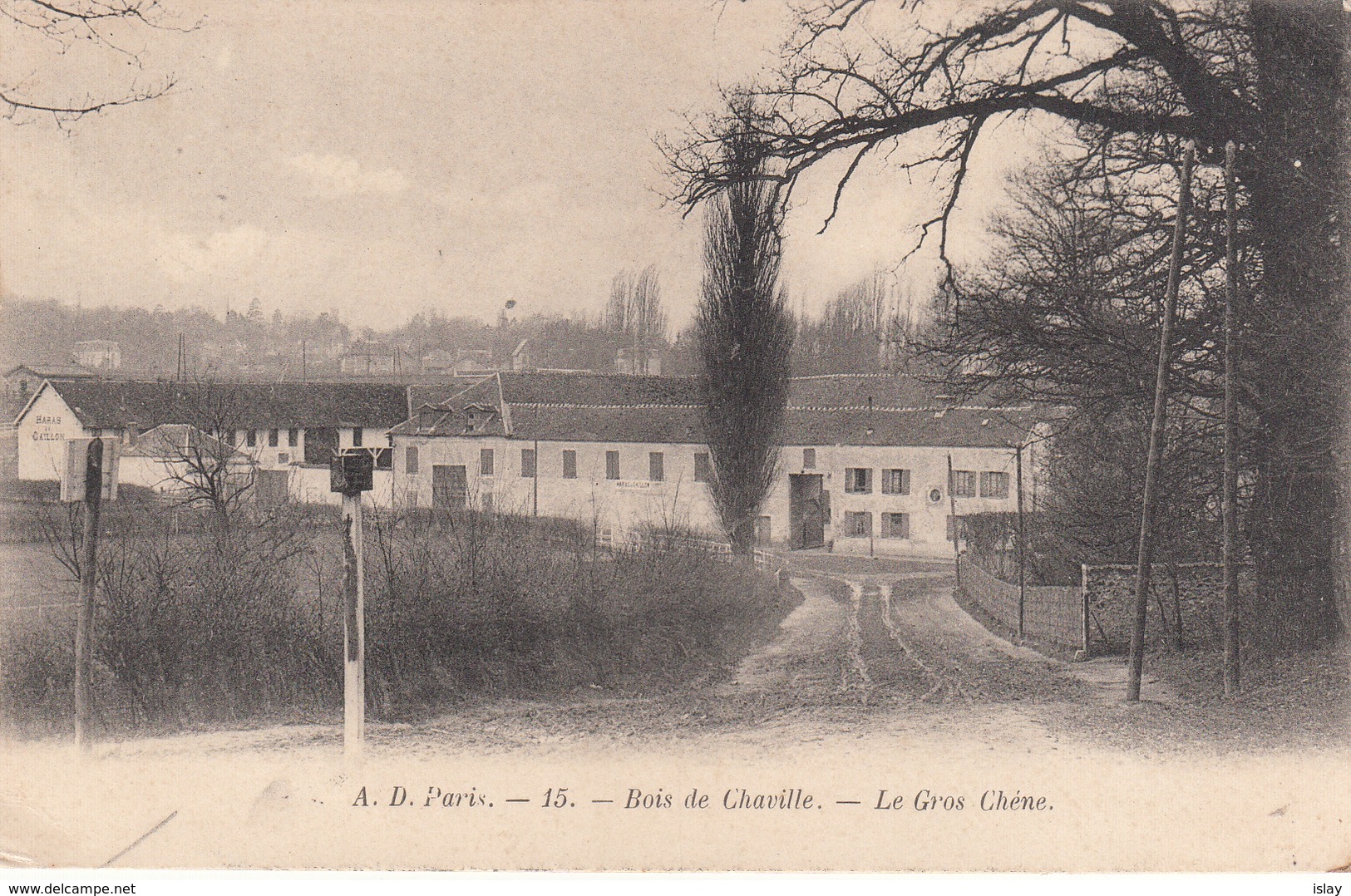 92 - BOIS DE CHAVILLE - Le Gros Chêne - Altri & Non Classificati