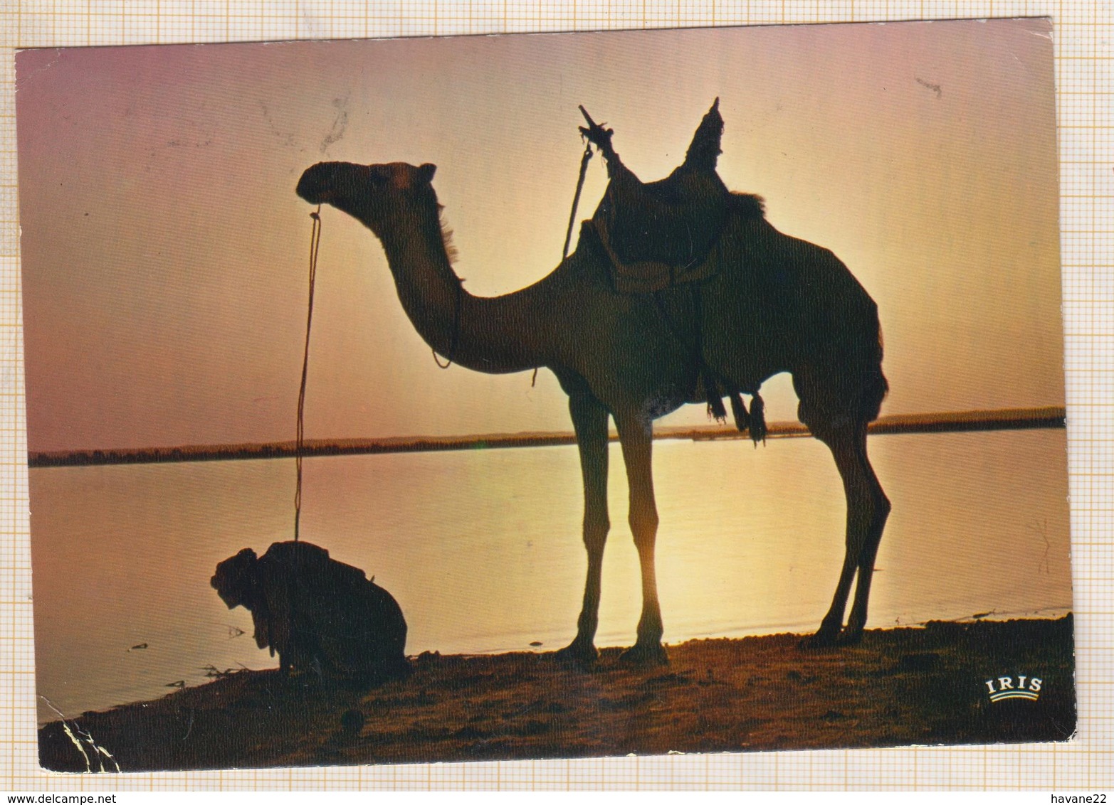 9AL896 AFRIQUE COUCHER DE SOLEIL AU BORD DU FLEUVE 2 SCANS - Non Classés