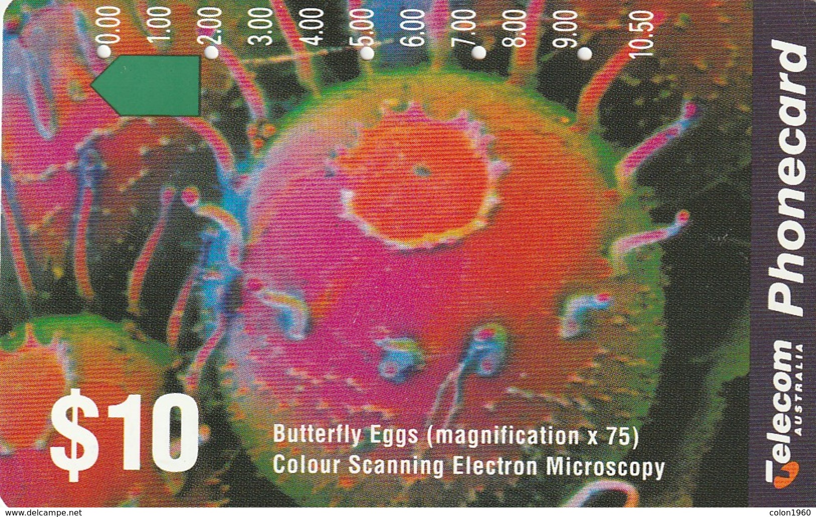 TARJETA TELEFONICA DE AUSTRALIA. Butterfly Eggs. AUS-M-088. (160) - Australia