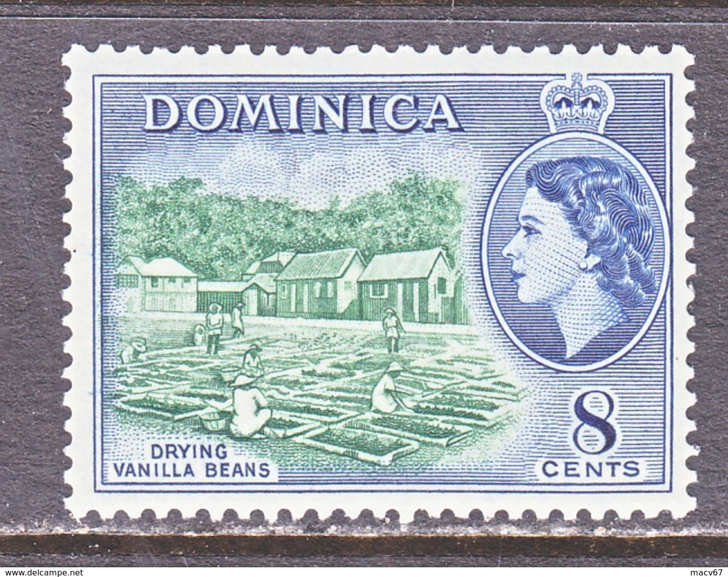 DOMINICA  149  *  VANILLA BEANS - Dominica (...-1978)