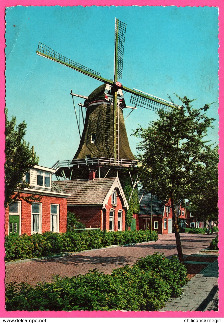 Nederland - Hoogeveen - Molen In De Van Echtenstraat - Moulin - Molen - MUVA - 1977 - Hoogeveen