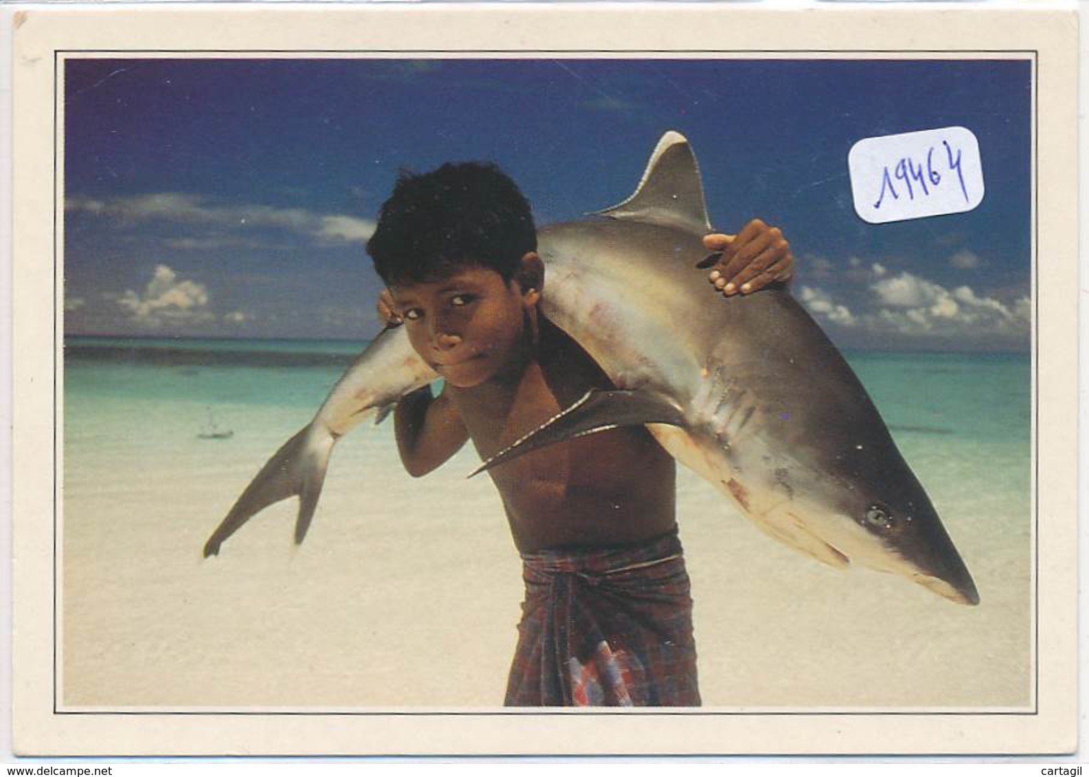CPM GF-19464-Maldives - Jeune Portant Un Requin Blanc-Envoi Gratuit - Maldive