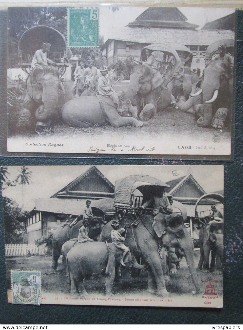 Laos Lot 2 Cpa Elephants Royaux  Cpa Timbrée Collection Raquez - Laos