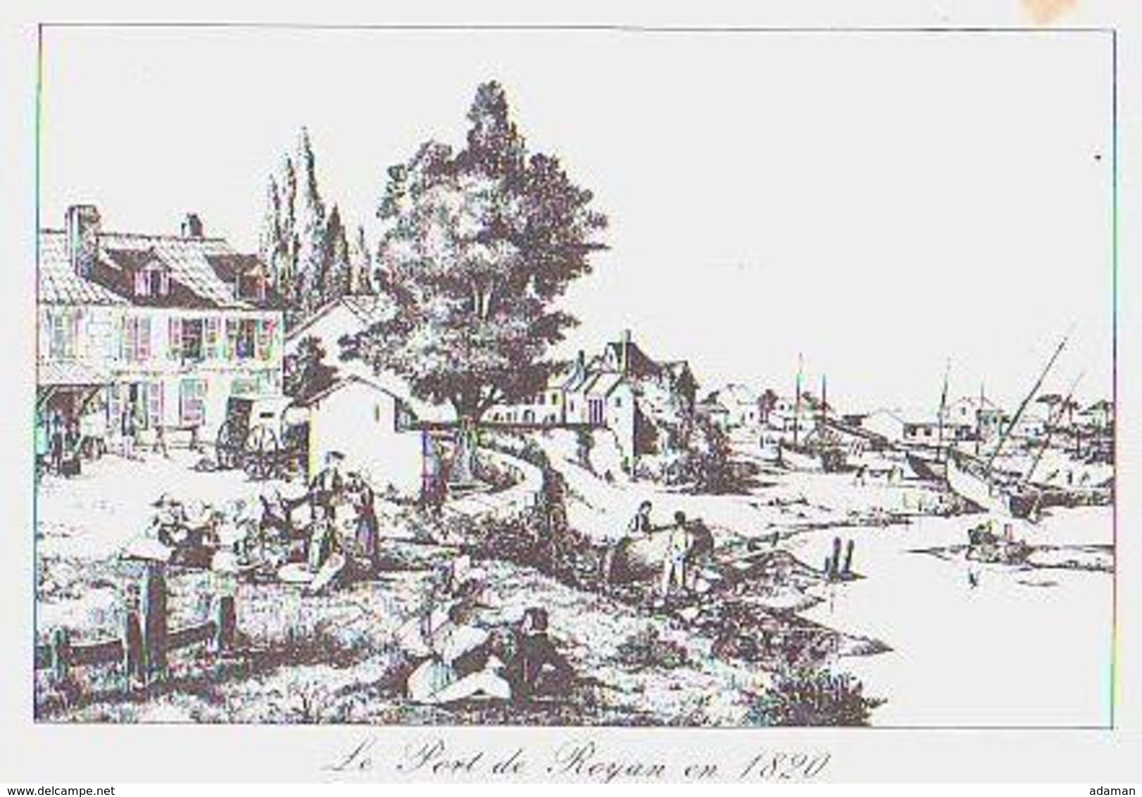 Royan   H770          Le Port ( Carte 2 Volets ) - Royan