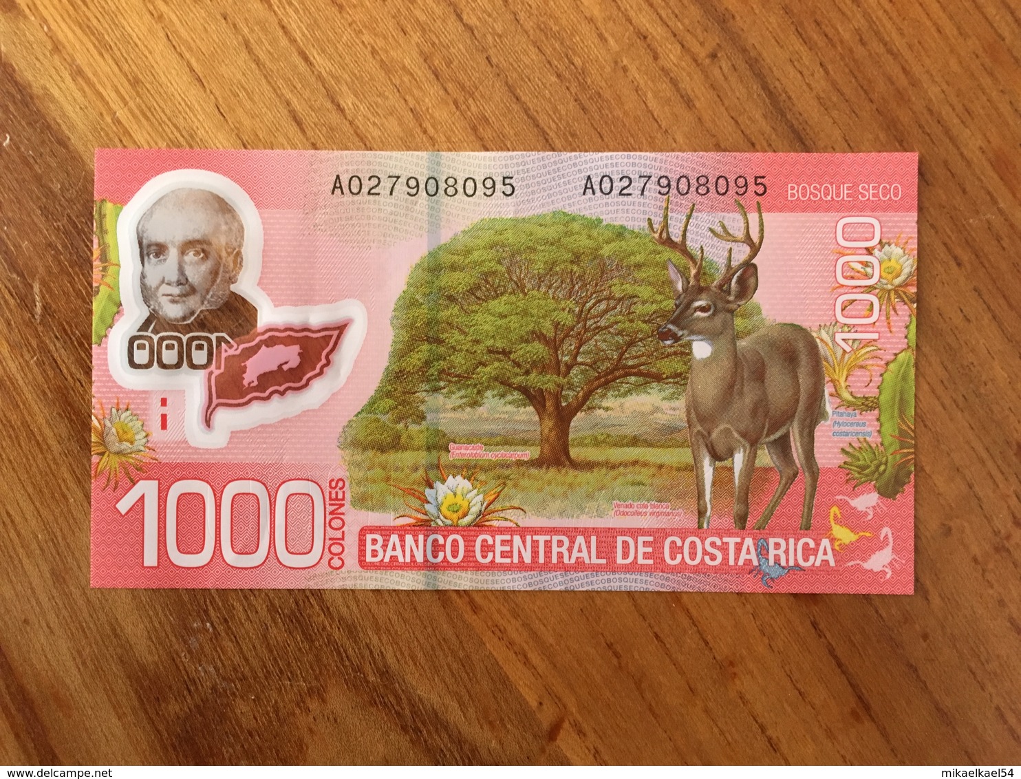 COSTA RICA 1000 Colones - P 274a - 2 De Septiembre De 2009 - Polymer - UNC - Costa Rica