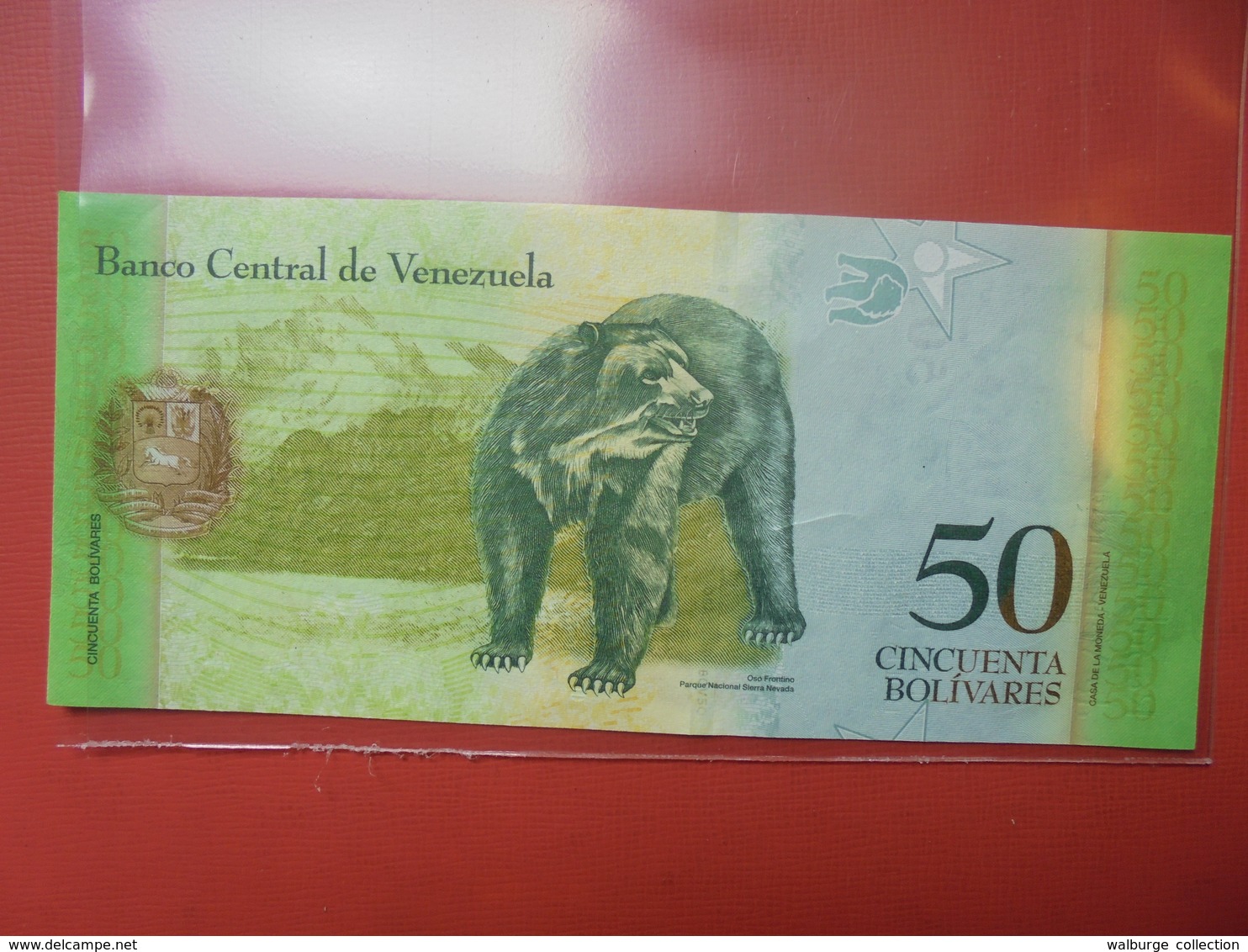 VENEZUELA 50 BOLIVARES 2015 PEU CIRCULER - Venezuela