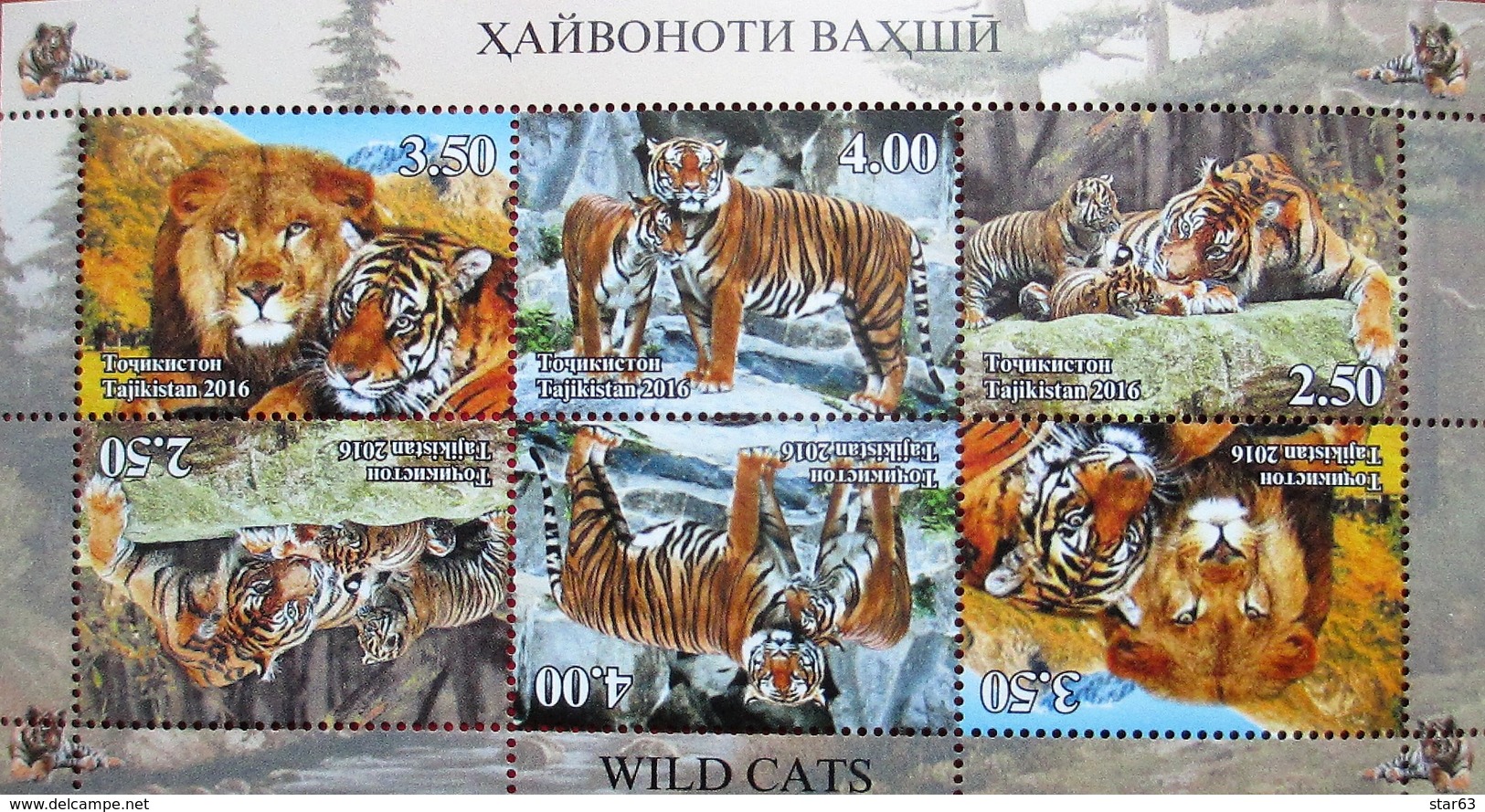 Tajikistan   2016  Fauna  Wild  Cats   M/S  Perfor. MNH - Tajikistan