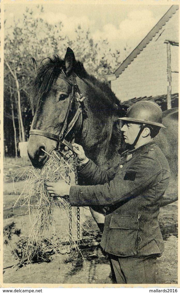 SOLDIER WITH HORSE POSSIBLY GERMAN OR FRENCH ~ A REAL PHOTO POSTCARD #89110 - War 1914-18