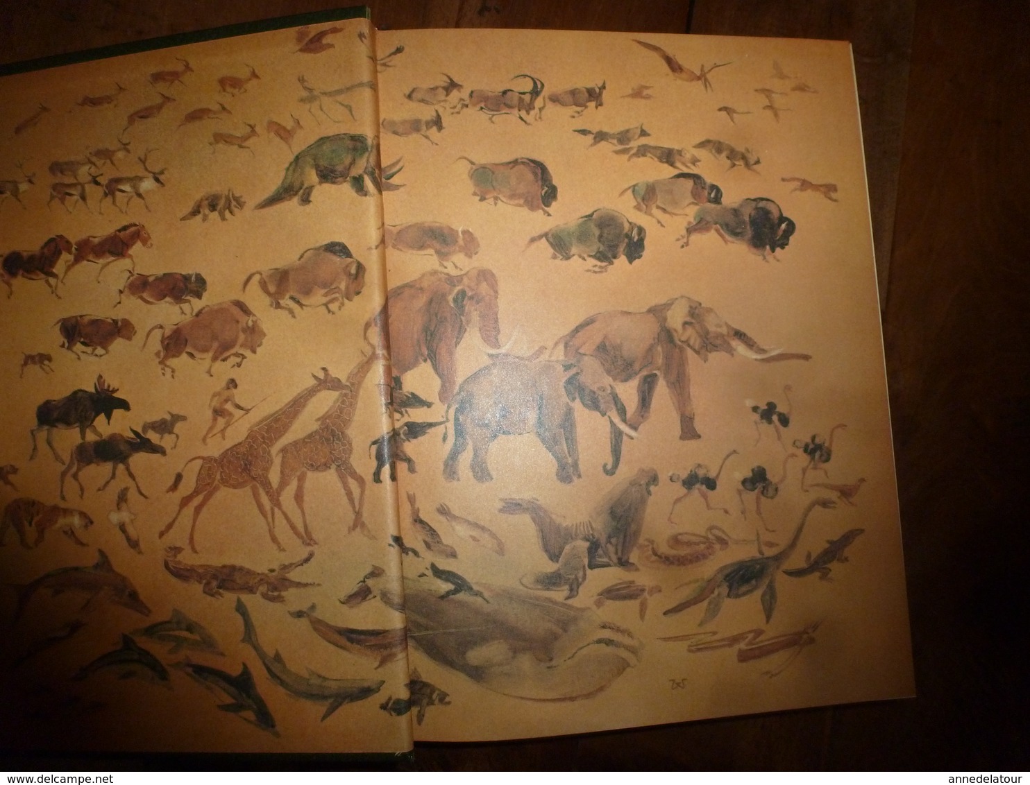LE MONDE ANIMAL - Encyclopédie de la Vie des Bêtes -  en 13 volumes + index