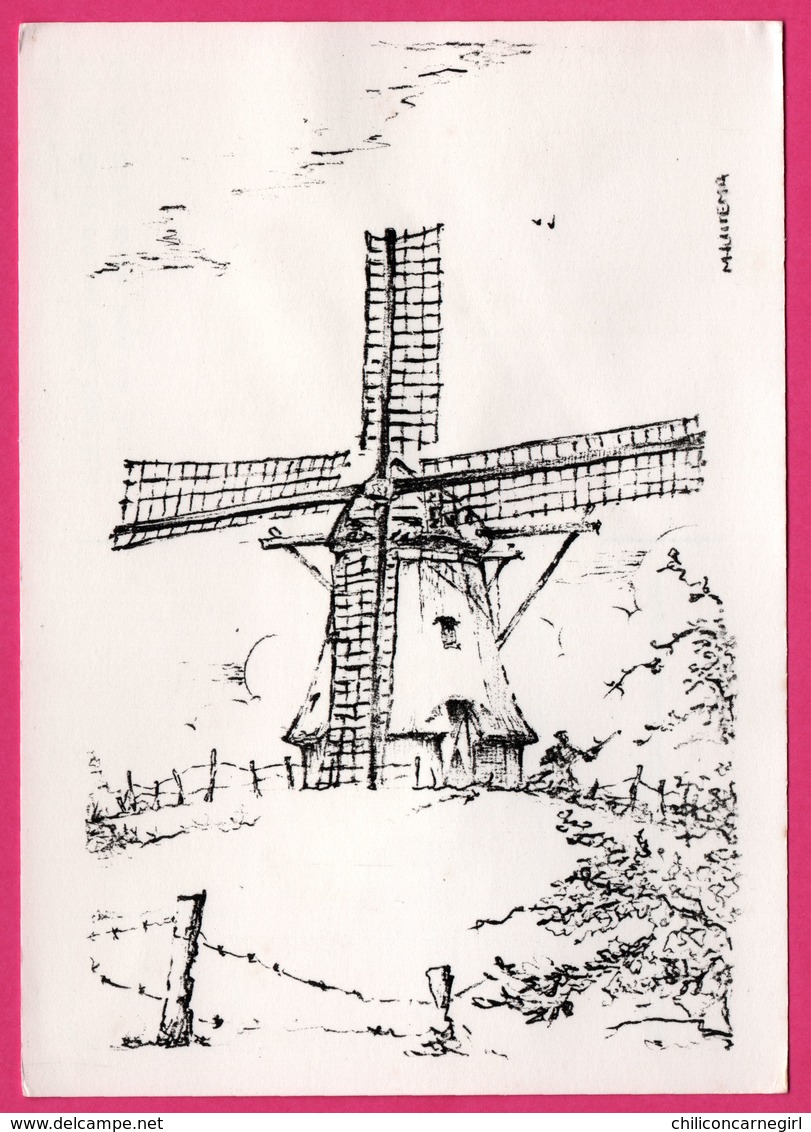 Dessin - Nederland - De Phoenix Molen Nes Ameland - Moulin - Molen - Ameland