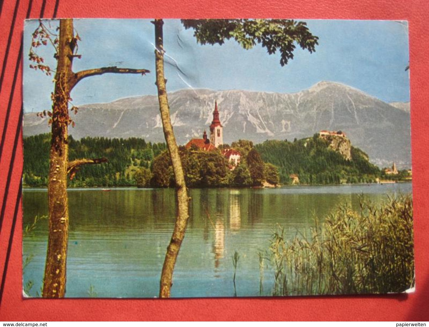 Bled / Veldes - Panorama - Slovénie