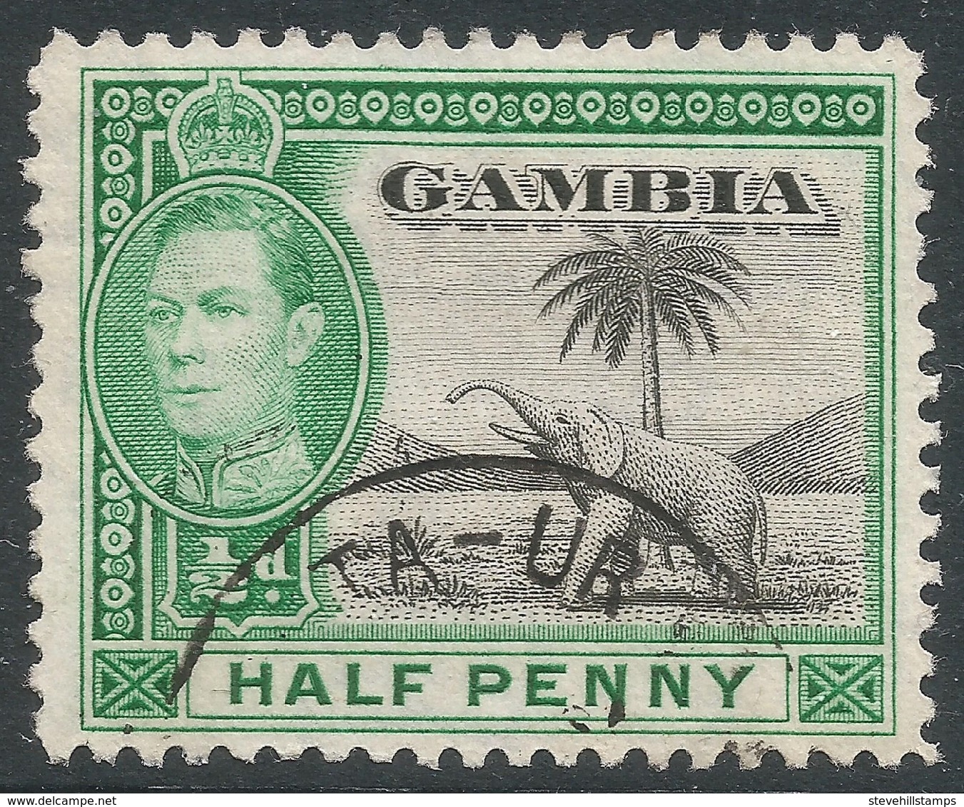 Gambia. 1938-46 KGVI. ½d Used. SG 150 - Gambia (...-1964)