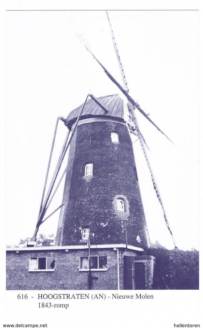 Hoogstraten: Nieuwe Molen ( 2 Scans) - Hoogstraten