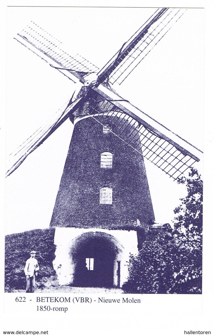 Betekom: Nieuwe Molen ( 2 Scans) - Sonstige & Ohne Zuordnung