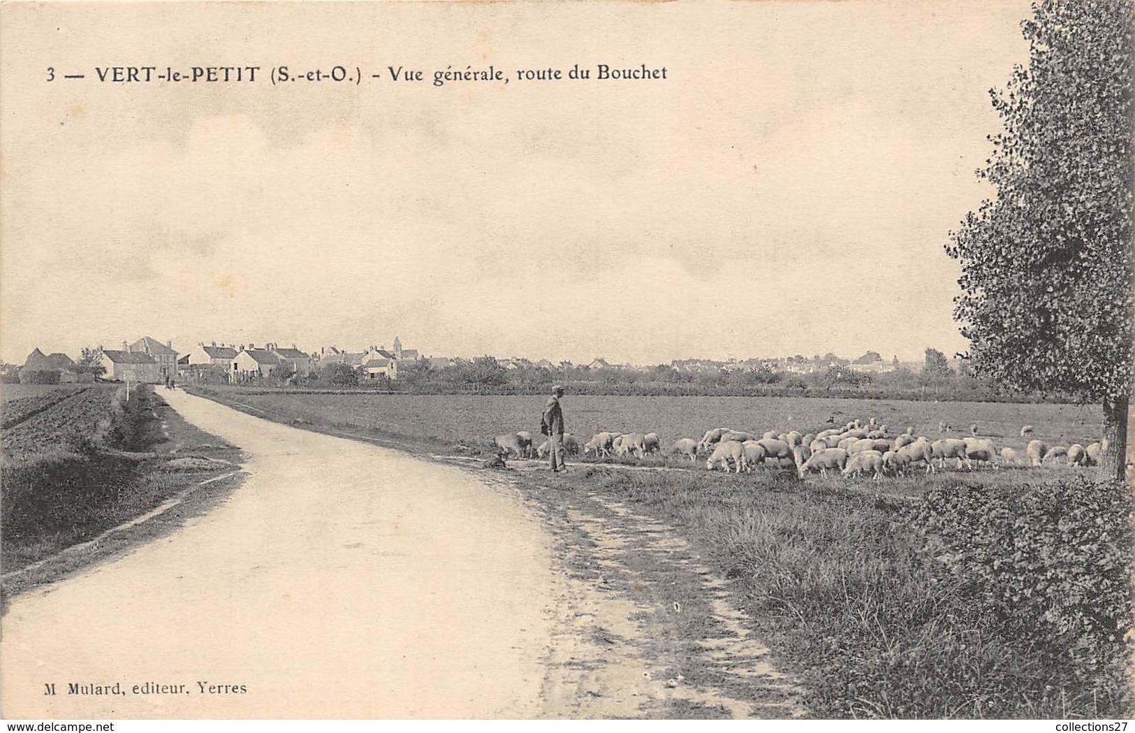 91-VERT-LE-PETIT- VUE GENERALE , ROUTE DU BOUCHET - Vert-le-Petit
