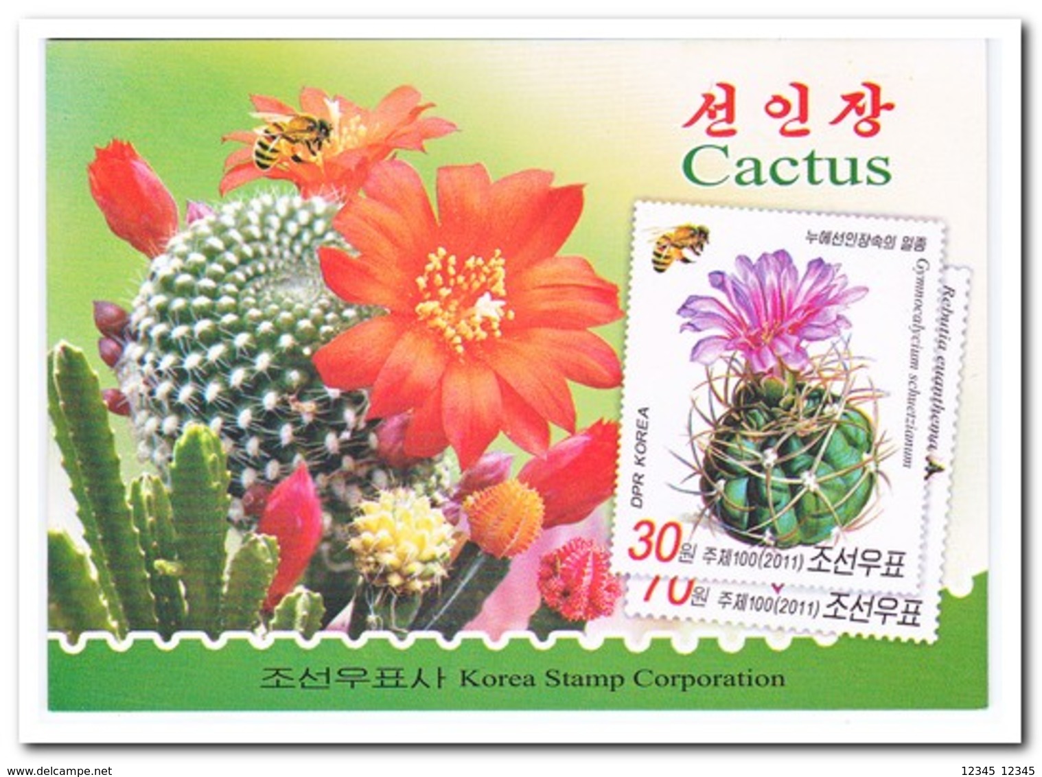 Noord Korea 2011, Postfris MNH, Cacti, Flowers, Insects, Butterflies ( Booklet ) - Korea (Noord)