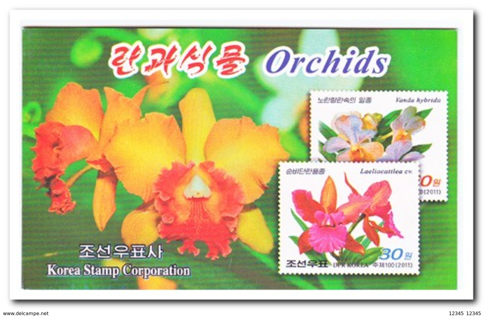 Noord Korea 2011, Postfris MNH, Orchids, Flowers ( Booklet ) - Korea (Noord)