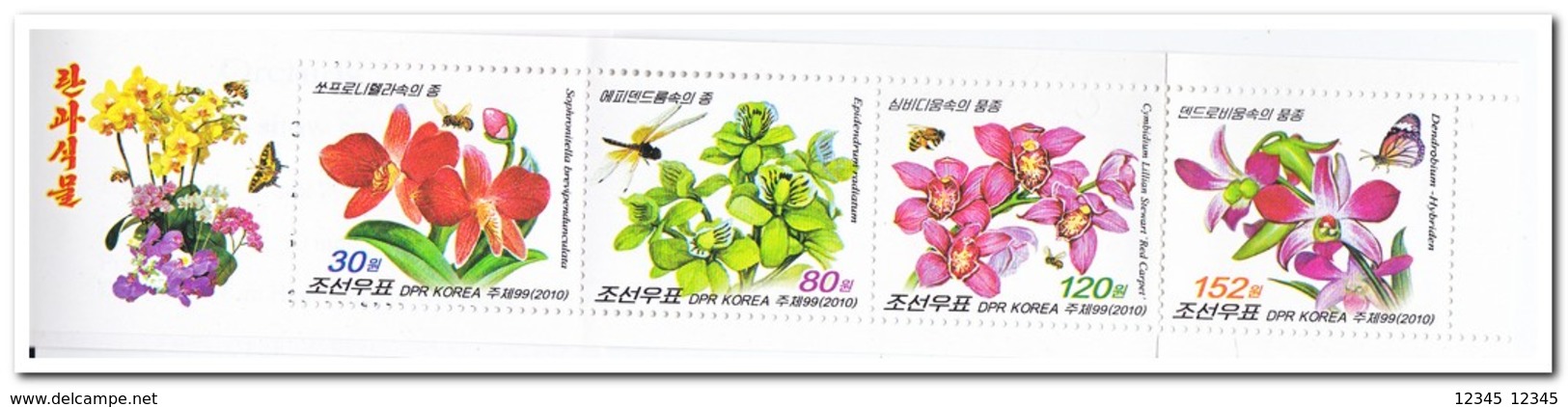 Noord Korea 2010, Postfris MNH, Orchids, Butterflies, Insects, Flowers ( Booklet ) - Korea (Noord)