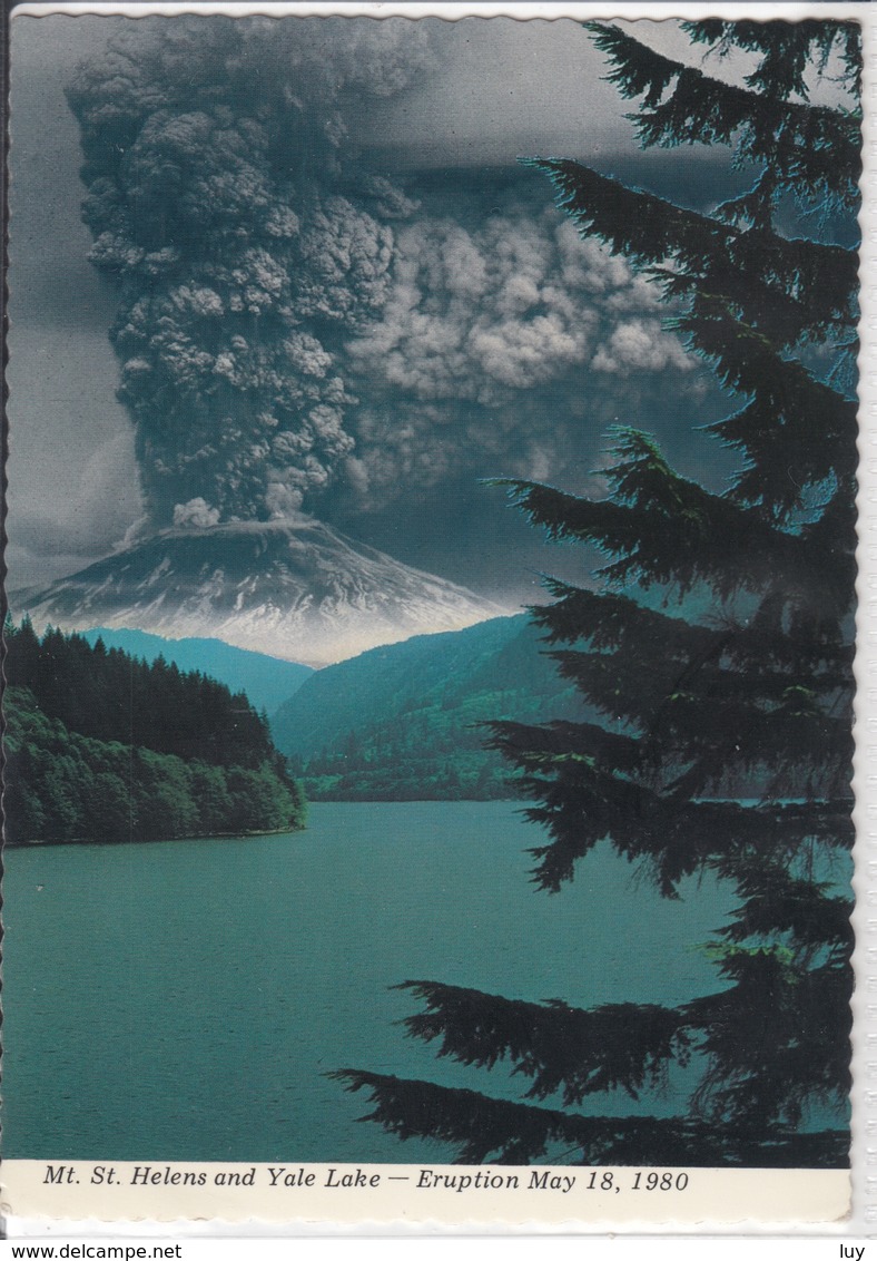 MT. ST. HELENS & YALE LAKE, WA  Volcano, Vulcan Vulkan - Eruption May 1980   Used - Sonstige & Ohne Zuordnung