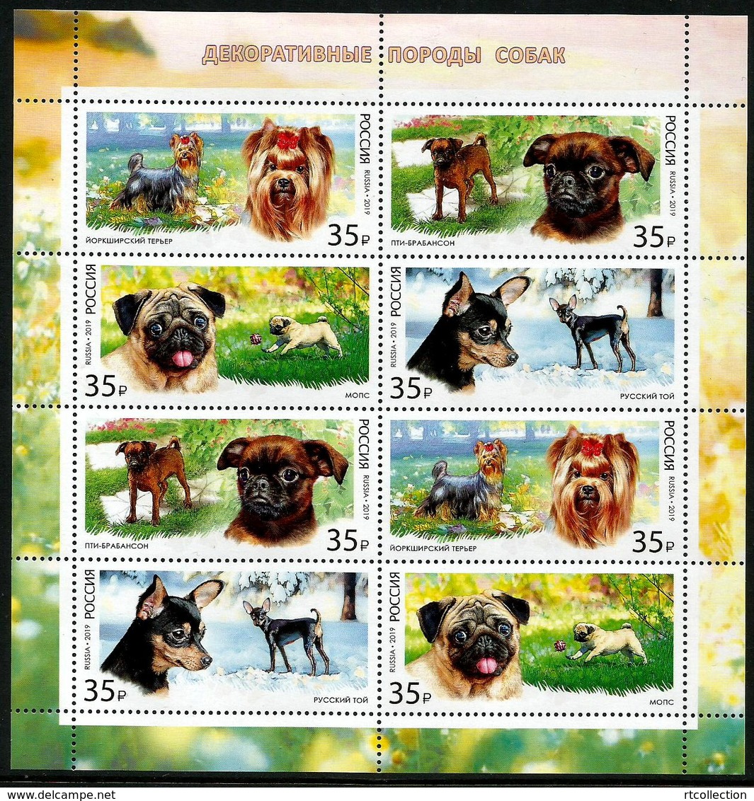 Russia 2019 Sheet Decorative Toy Dogs Dog Animals Fauna Mammals Nature Animal Mammal Stamps MNH - Unused Stamps