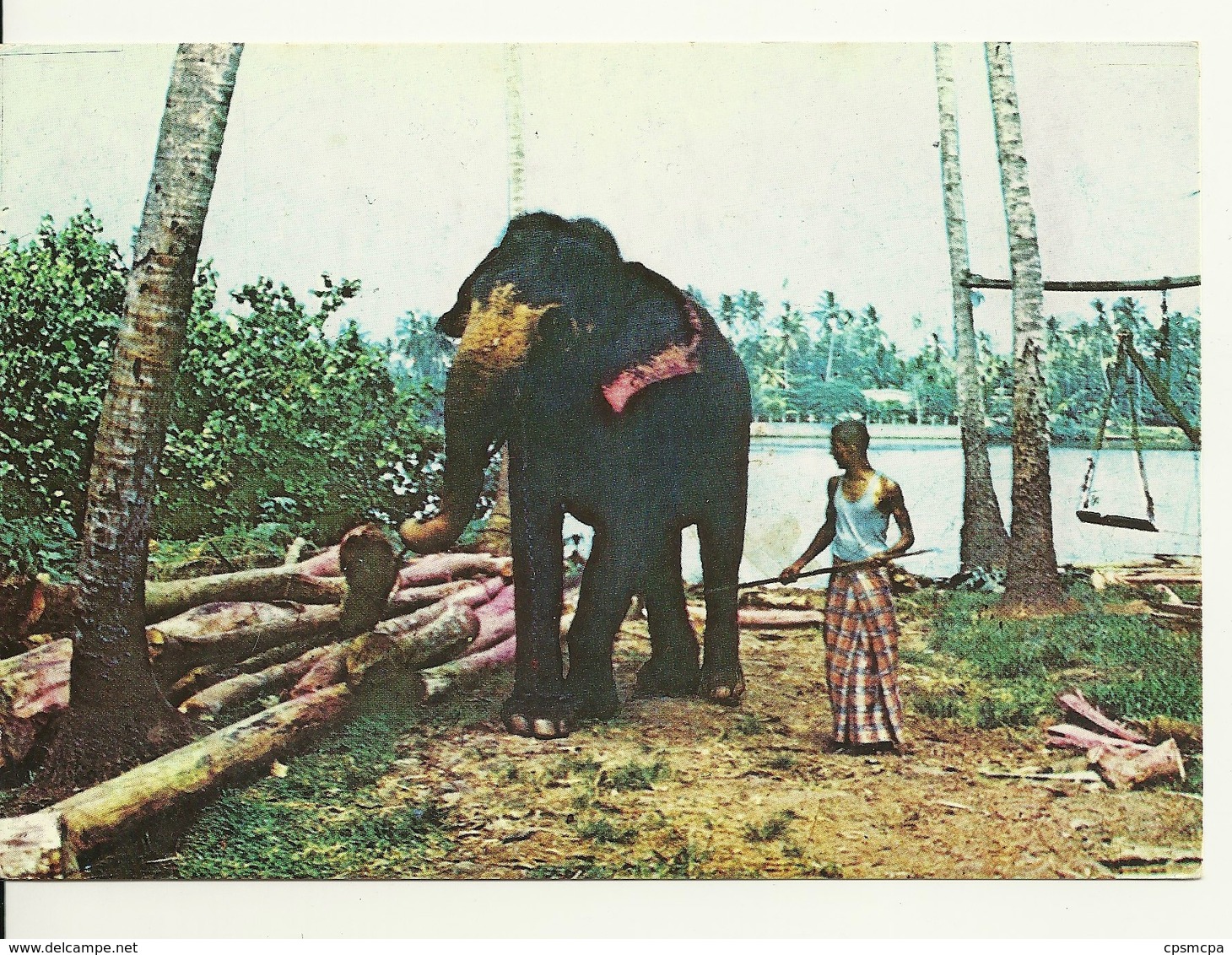 SRI LANKA / ELEPHANT AU TRAVAIL - Sri Lanka (Ceylon)