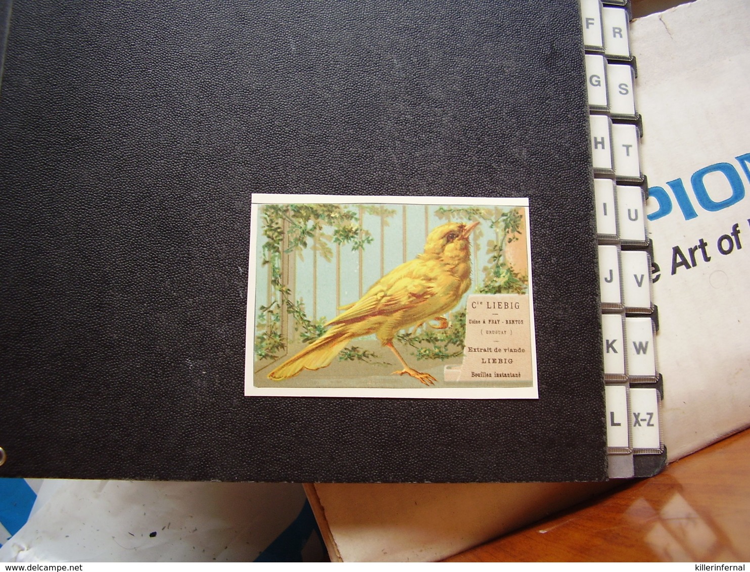 Liebig  Original Card Chromo S 64 Oiseau - Bird - Liebig