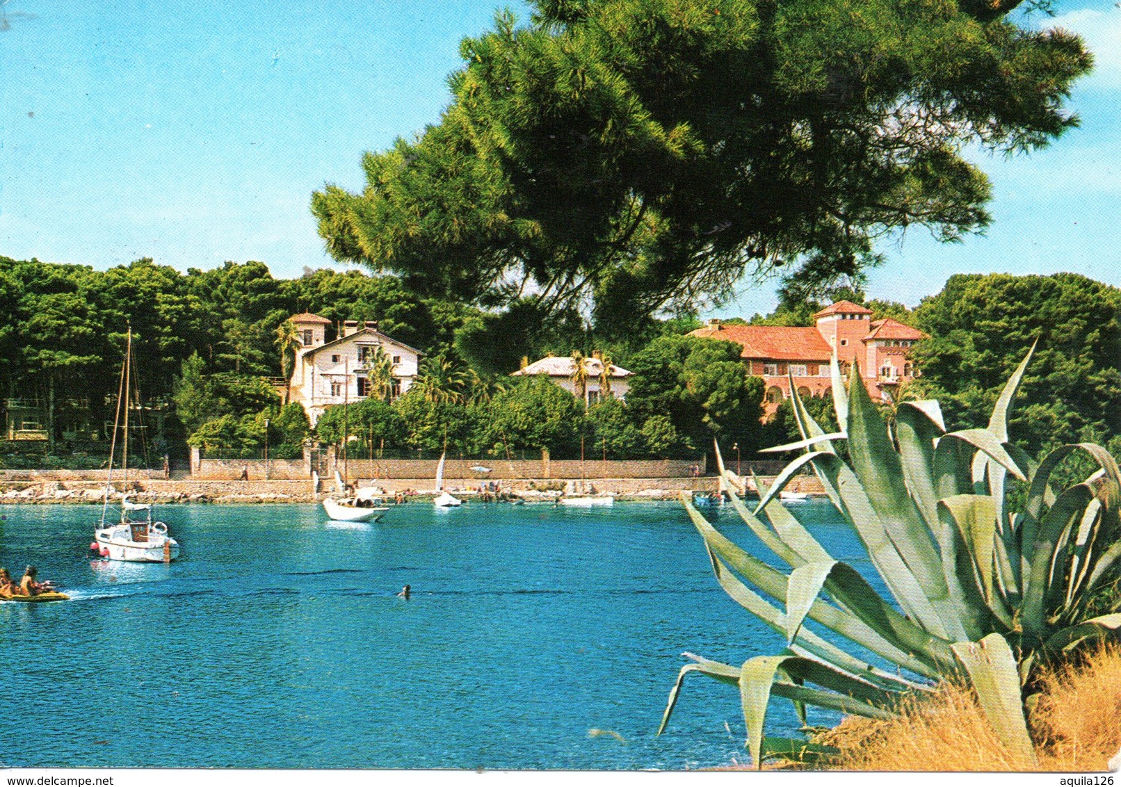 BELLISSIMA CARTOLINA  MALI LOSINJ  E654 - Groenland