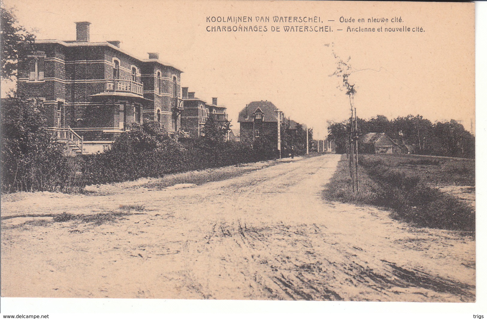 Waterschei (Koolmijnen) - Oude En Nieuwe Cité - Genk