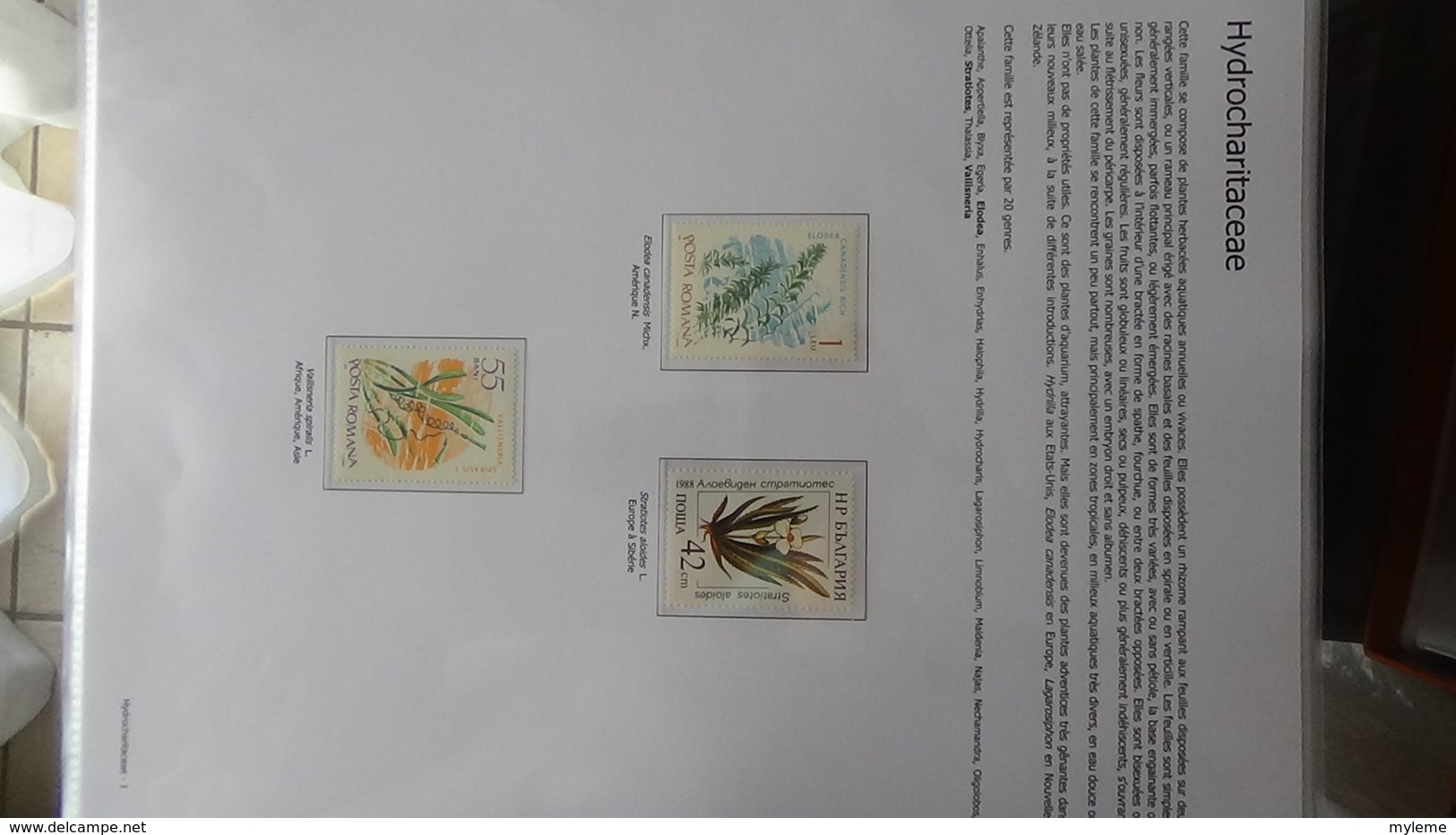 Dispersion d'une grosse collection thématique dont les Plantes Angiospermes Tome 1 . A saisir !!!