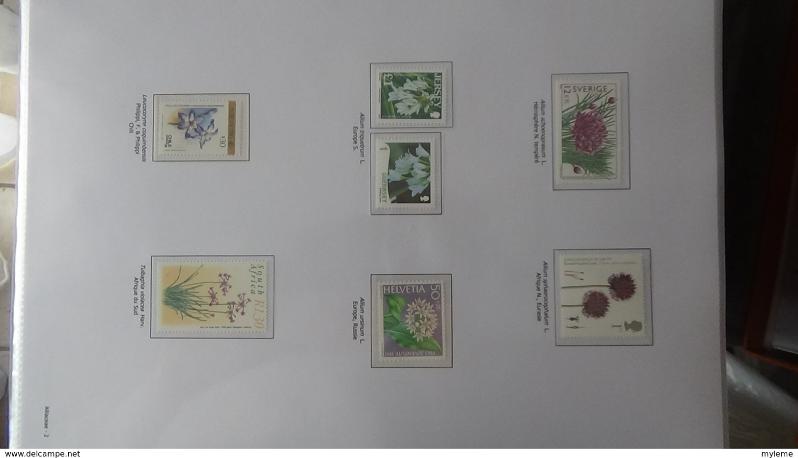 Dispersion d'une grosse collection thématique dont les Plantes Angiospermes Tome 1 . A saisir !!!