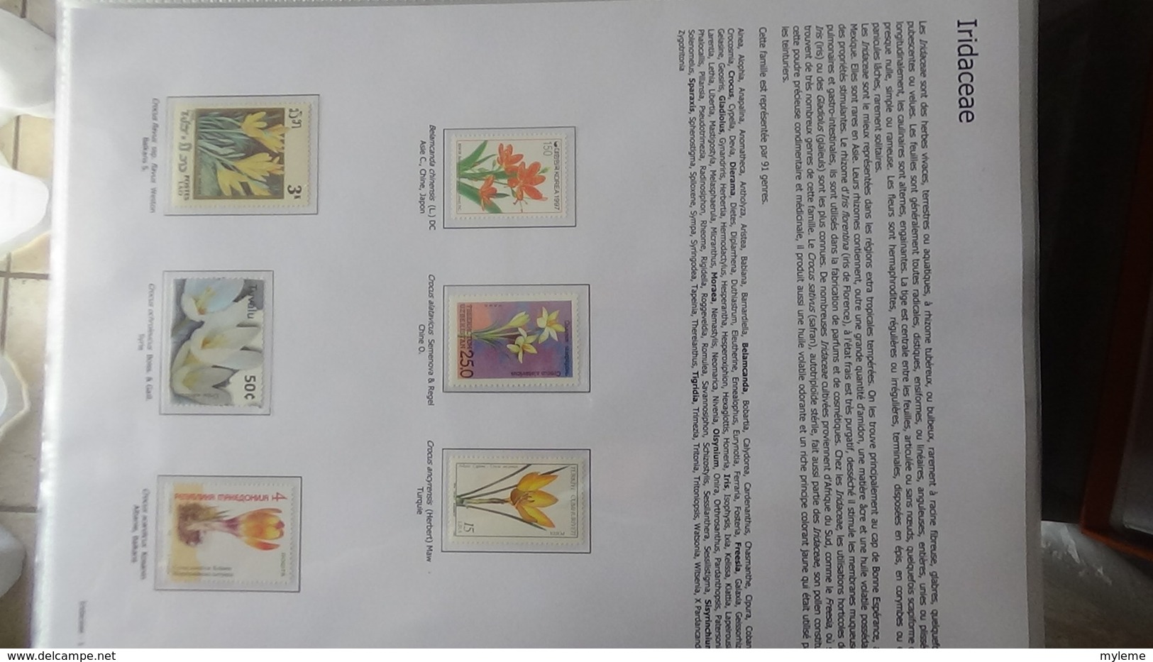 Dispersion d'une grosse collection thématique dont les Plantes Angiospermes Tome 1 . A saisir !!!