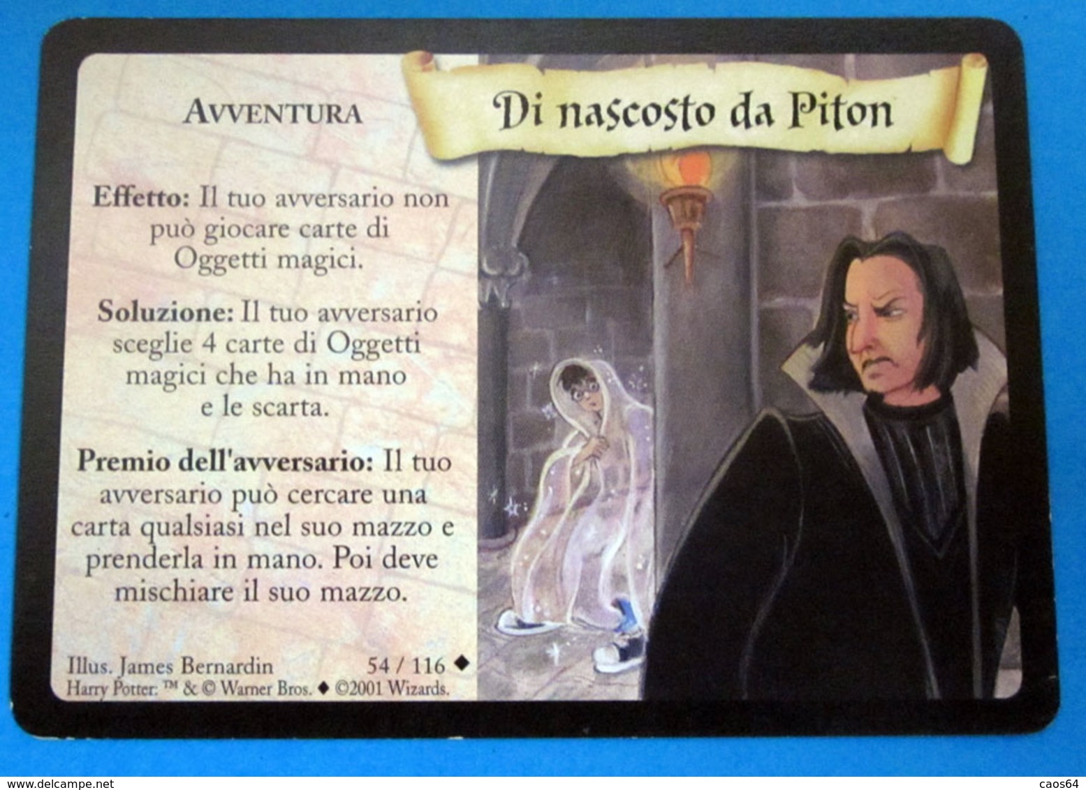 HARRY POTTER DI NASCOSTO DA PITON CARD WIZARDS 2001 - Harry Potter