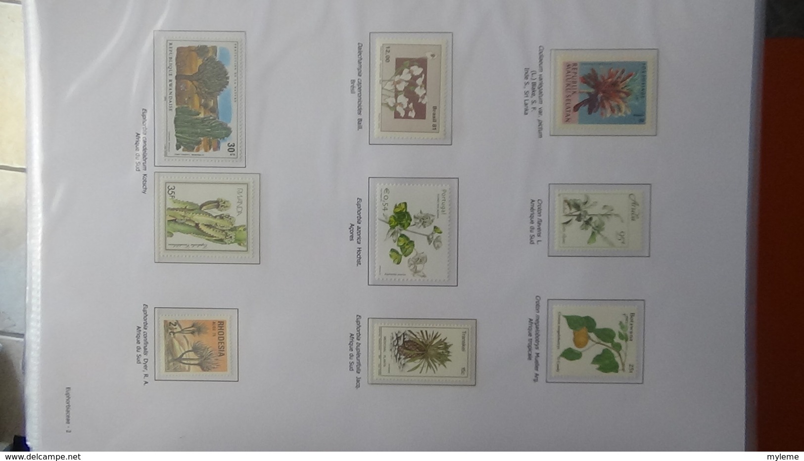 Dispersion d'une grosse collection thématique dont les Plantes Angiospermes Tome 4 . A saisir !!!