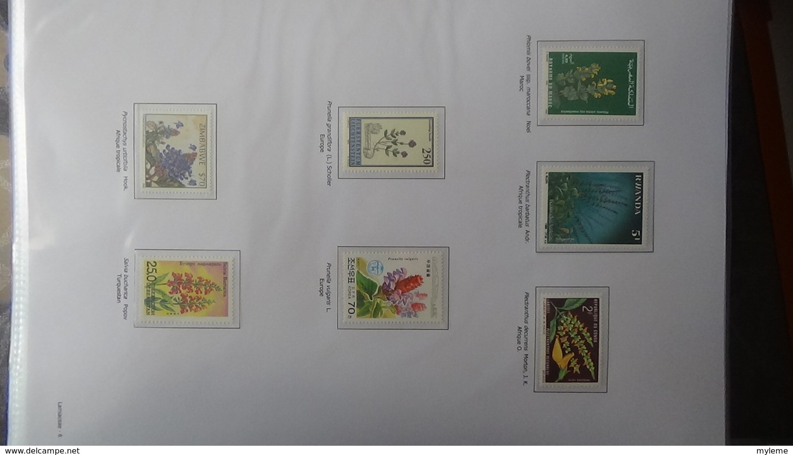 Dispersion d'une grosse collection thématique dont les Plantes Angiospermes Tome 6 . A saisir !!!