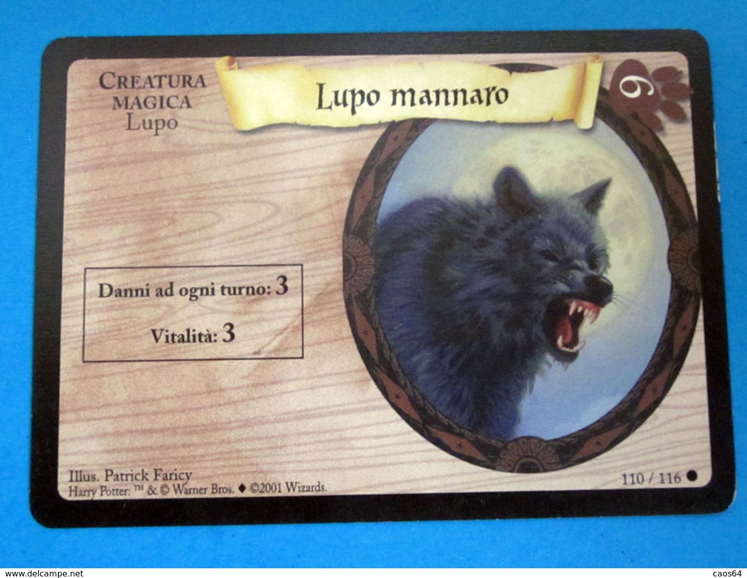 HARRY POTTER LUPO MANNARO CARD WIZARDS 2001 - Harry Potter