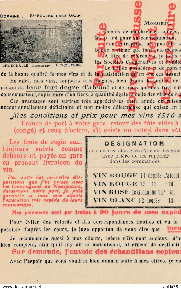 N71 - ALGÉRIE - ORAN - Foulage Des Raisins Au Domaine De Saint-Eugène En 1909 - Oran