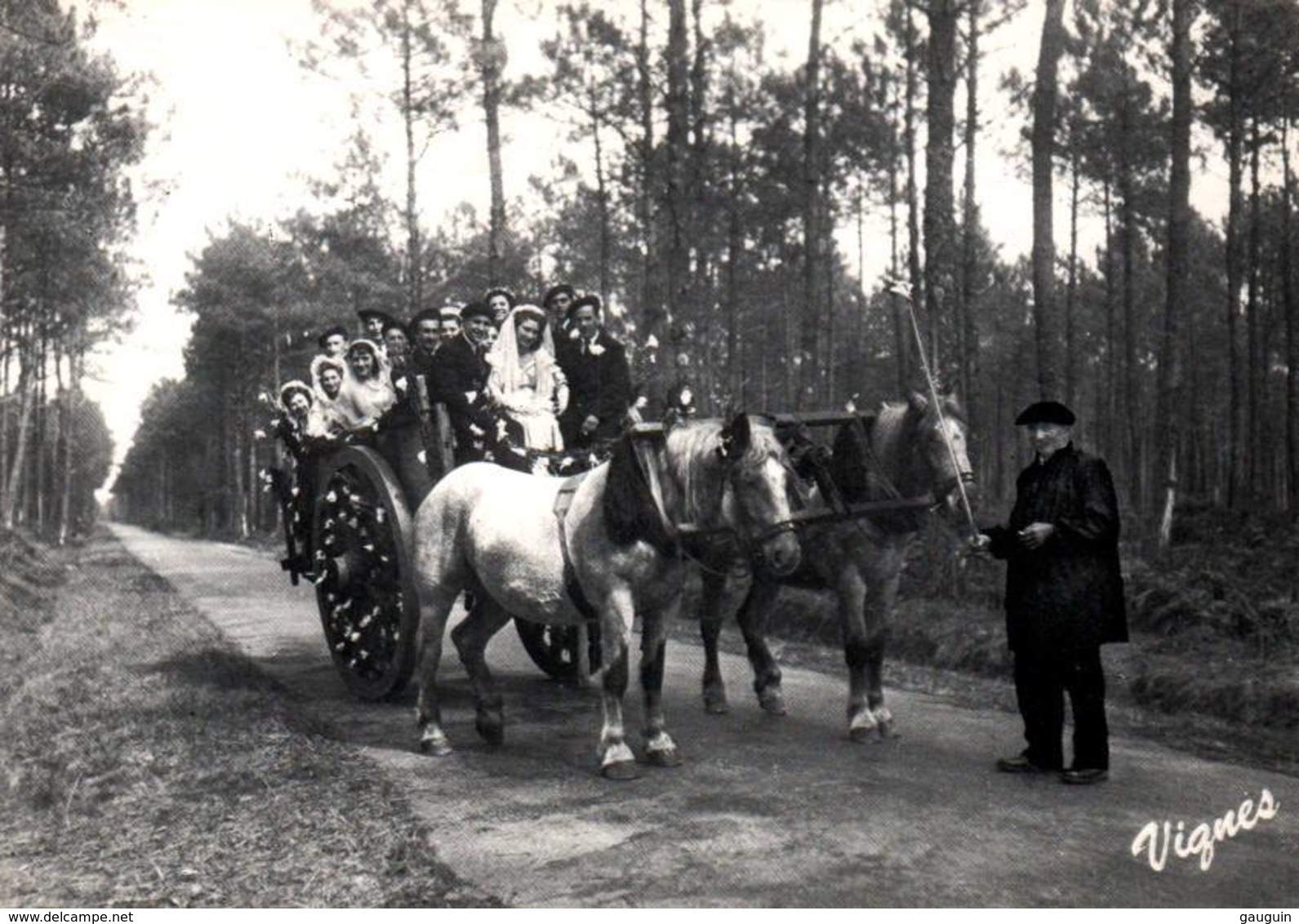 CPM - LANDES D'autrefois - ATTELAGE - Départ De La Noce Sur Le "bros" - Chevaux