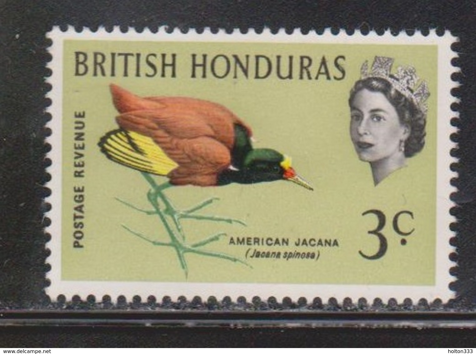 BRITISH HONDURAS Scott # 169 Mint NO GUM - QEII & Bird - British Honduras (...-1970)