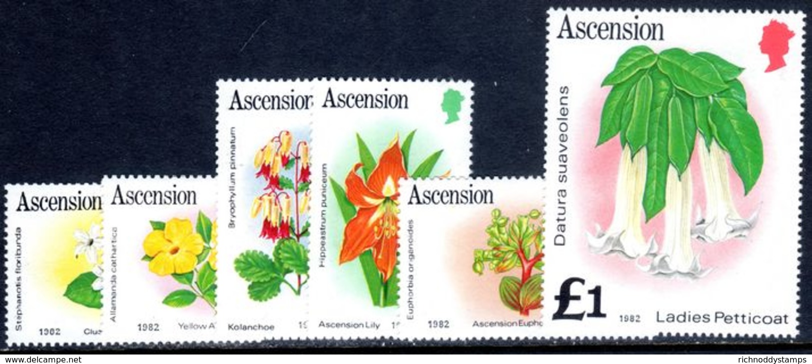 Ascension 1982 Flowers Date Imprint Set Unmounted Mint. - Ascension (Ile De L')