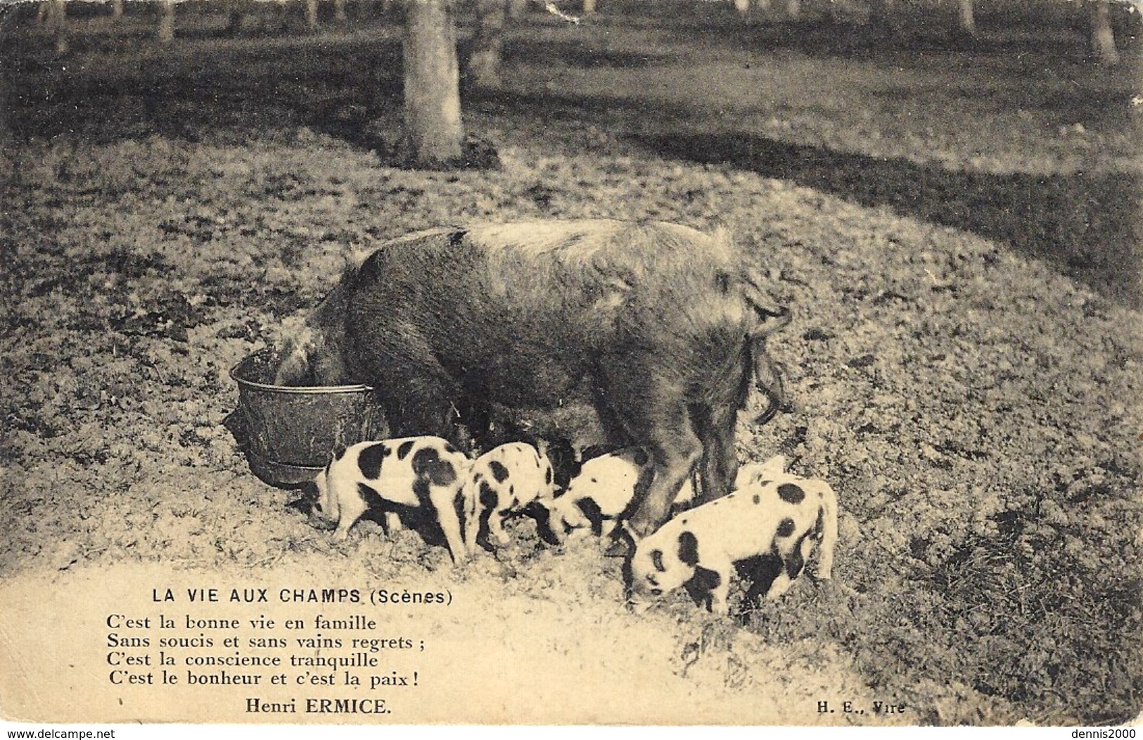 La Vie Aux Champs ( Scènes ) Ed. H.E. Vire - Cochons