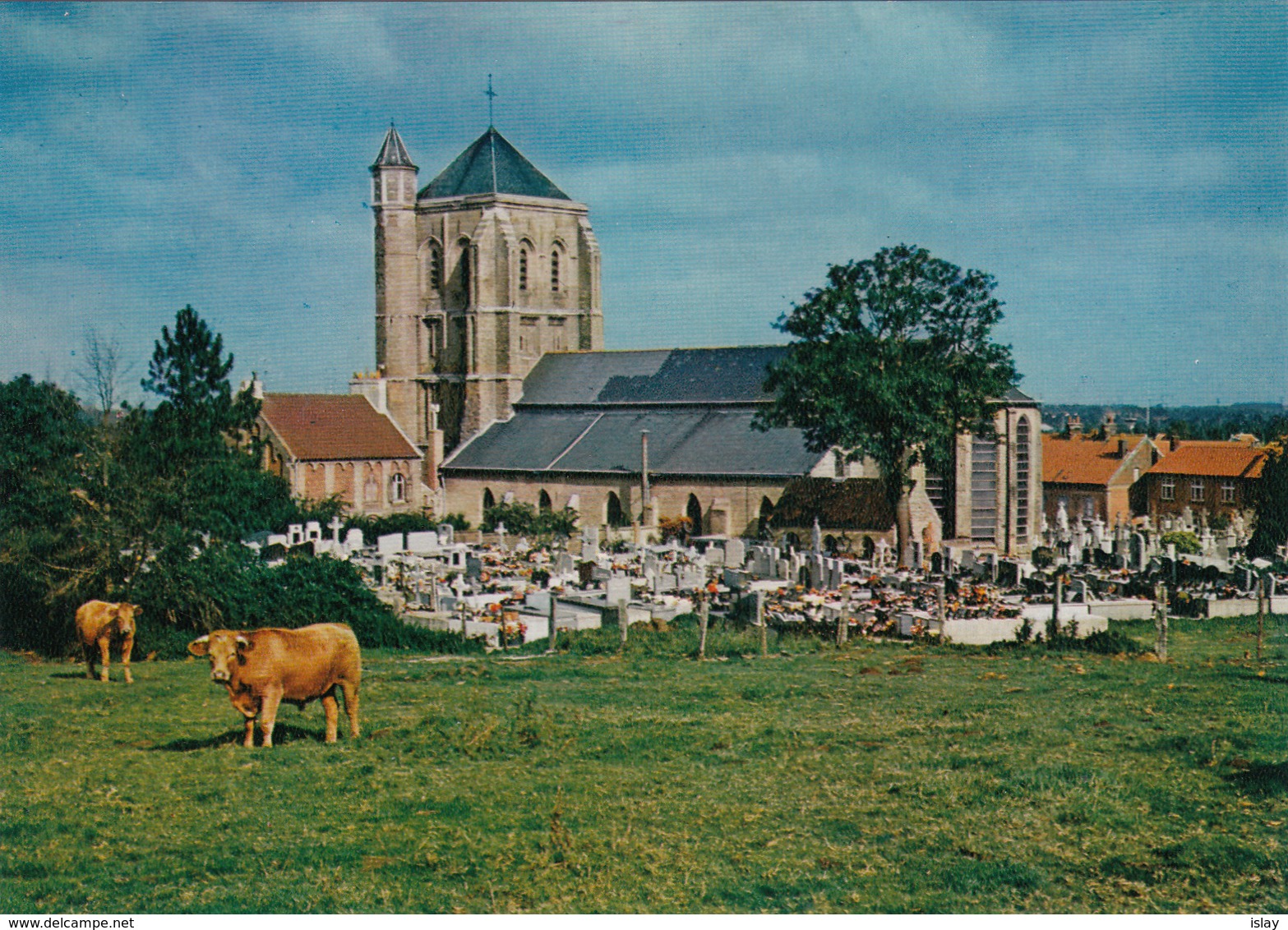 59 - WATTEN - L'Eglise St-Gilles - Autres & Non Classés