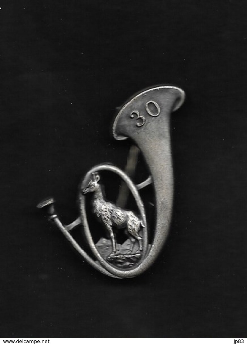 INSIGNE 30ème CHASSEUR ALPIN (Arthus Bertrand Paris) - Army