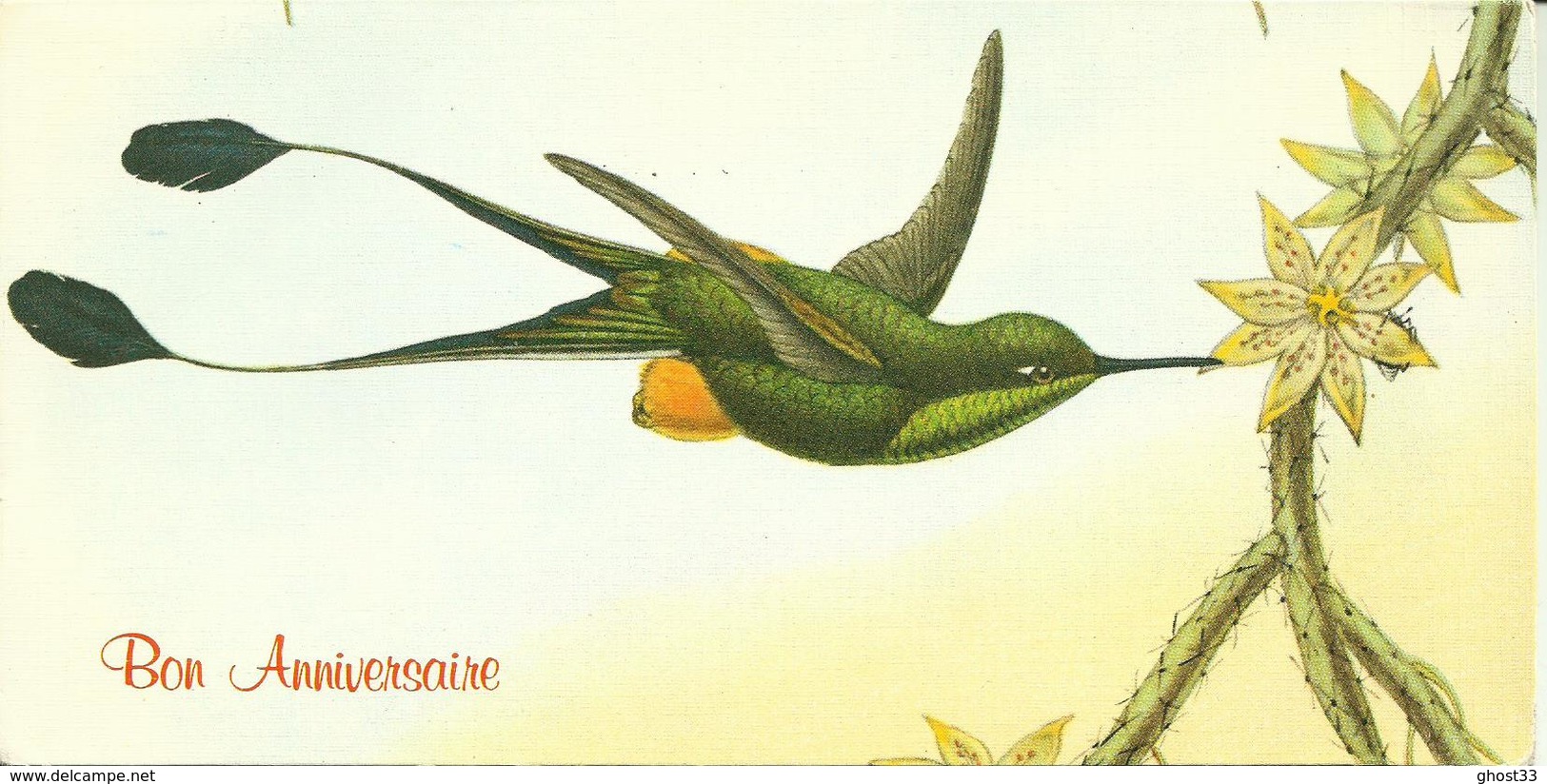 MAXI CARTE POSTALE PORTEFEUILLE - GUYANE - COLIBRI SPATHURA SOLTITIATIS - Editions G. DELABERGERIE N° 469/1 - Altri & Non Classificati