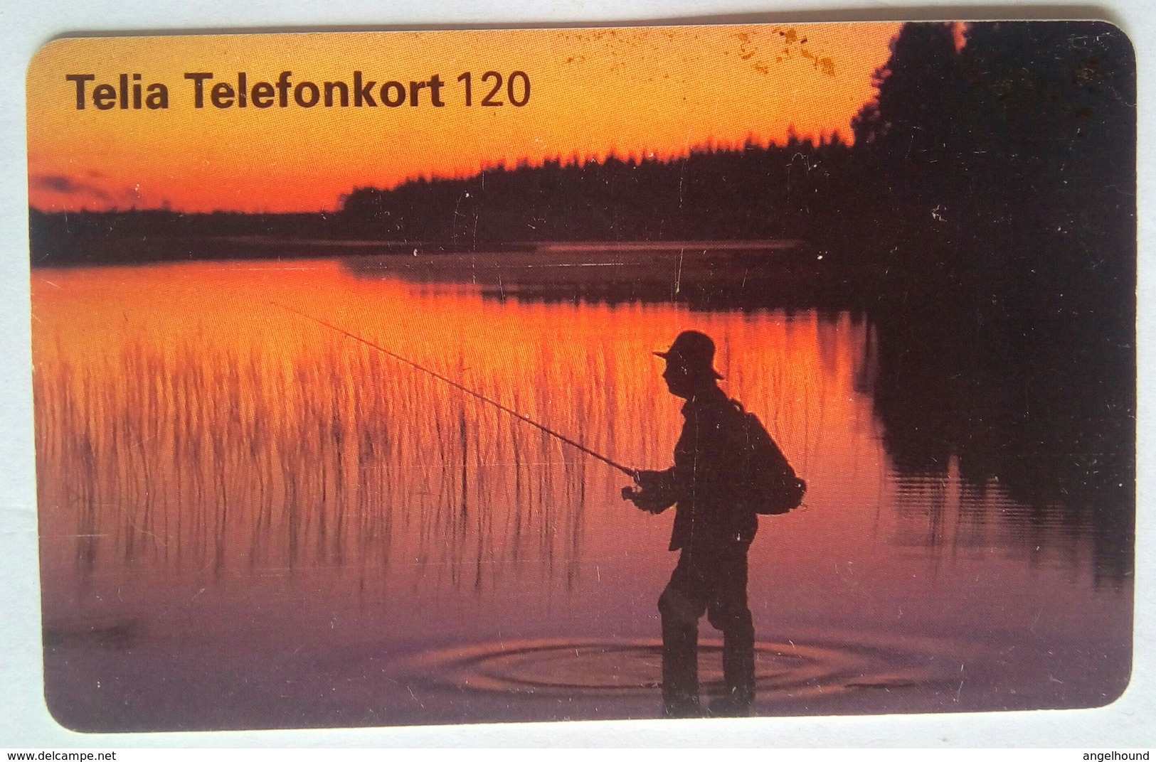 Man Fishing   120 Units - Schweden