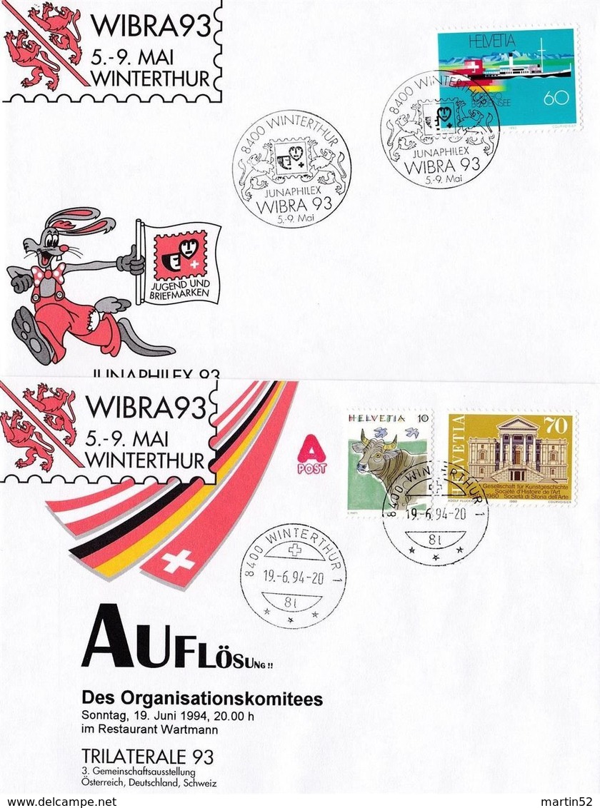 Schweiz Suisse 1993: WIBRA'93 & Euregio Bodensee (Hohentwiel) Zu 845 Mi 1501 Yv 1427 6 Belege Mit Div.Sonderstempel - Emissions Communes