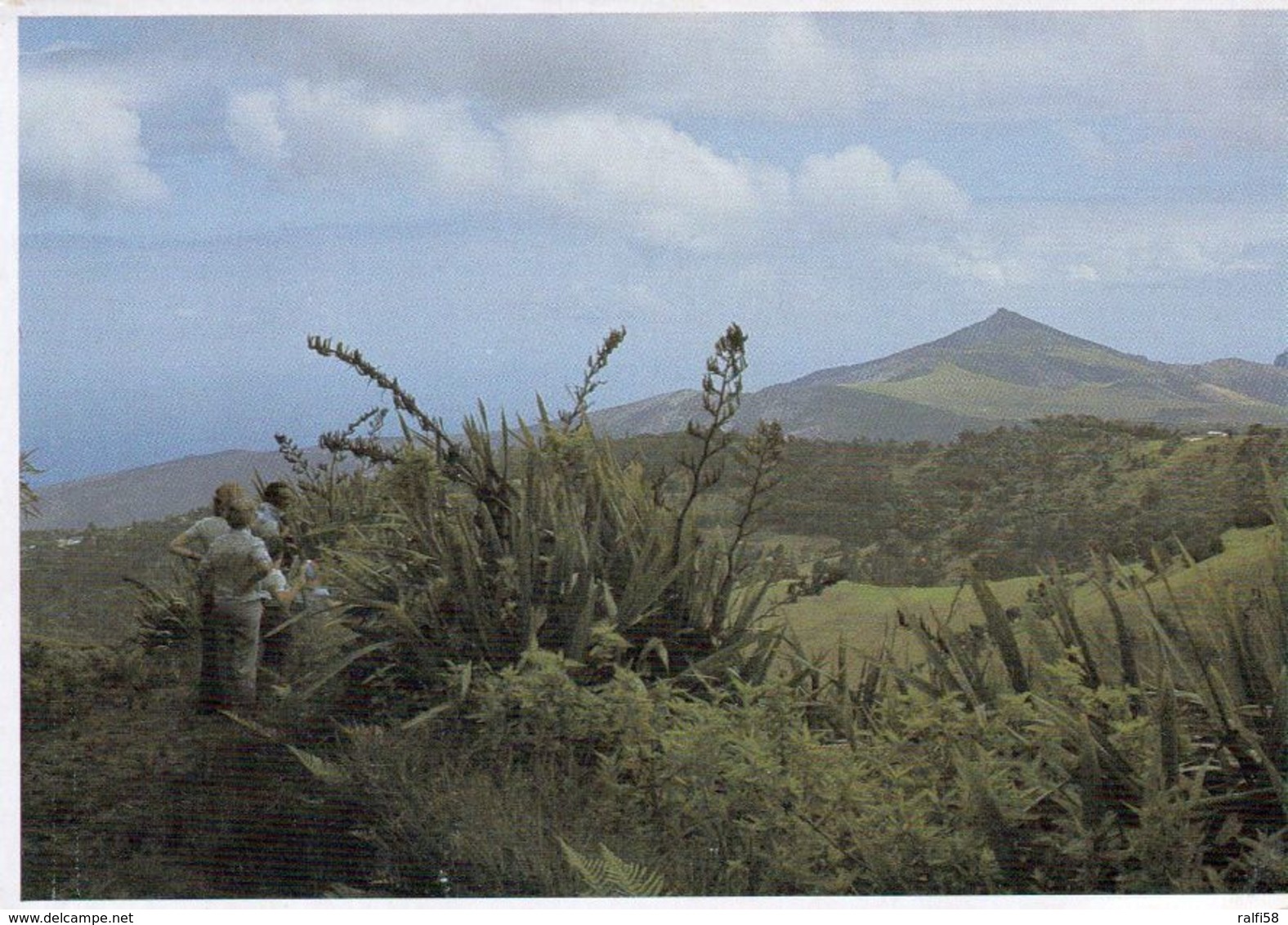 1 AK Island St. Helena * South Atlantic Ocean * Flagstaff Hill Viewed From Cabbage Tree Road - Britisches Überseegebiet - St. Helena