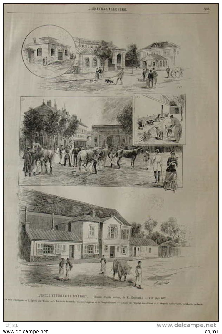 L'école Vétérinaire D'Alfort - La Salle D'autopsie - Cour De L'hôpital Des Chiens - Page Original 1890 - Documents Historiques
