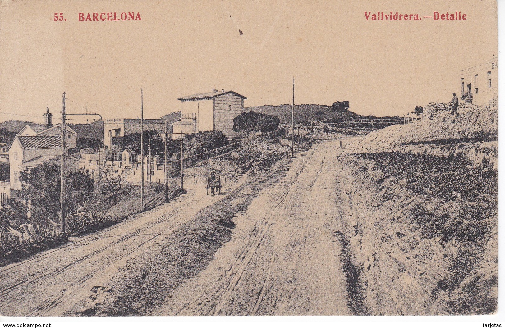 55 POSTAL DE VALLVIDRERA DE UN DETALLE (FOTOTIPIA MADRIGUERA) BARCELONA - Barcelona